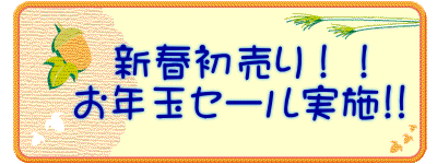 　　新春初売り！！ 　お年玉セール実施!!